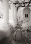 Garden , Capri Italy #YNL-929.  Infrared Photograph,  Stretched and Gallery Wrapped, Limited Edition Archival Print on Canvas:  40 x 56 inches, $1590.  Custom Proportions and Sizes are Available.  For more information or to order please visit our ABOUT page or call us at 561-691-1110.