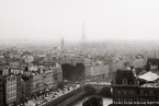 Notre Dame, Paris France #YNS-976.  Black-White Photograph,  Stretched and Gallery Wrapped, Limited Edition Archival Print on Canvas:  60 x 40 inches, $1590.  Custom Proportions and Sizes are Available.  For more information or to order please visit our ABOUT page or call us at 561-691-1110.