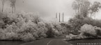 Tropical Road, Tahiti  #YNL-565.  Infrared Photograph,  Stretched and Gallery Wrapped, Limited Edition Archival Print on Canvas:  68 x 30 inches, $1560.  Custom Proportions and Sizes are Available.  For more information or to order please visit our ABOUT page or call us at 561-691-1110.