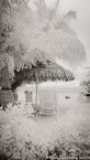 Tropical Beach, Tahiti  #YNL-580.  Infrared Photograph,  Stretched and Gallery Wrapped, Limited Edition Archival Print on Canvas:  40 x 72 inches, $1620.  Custom Proportions and Sizes are Available.  For more information or to order please visit our ABOUT page or call us at 561-691-1110.