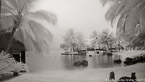 Tropical Beach, Tahiti  #YNL-583.  Black-White Photograph,  Stretched and Gallery Wrapped, Limited Edition Archival Print on Canvas:  72 x 40 inches, $1620.  Custom Proportions and Sizes are Available.  For more information or to order please visit our ABOUT page or call us at 561-691-1110.