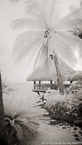 Tropical Hut, Tahiti  #YNL-590.  Infrared Photograph,  Stretched and Gallery Wrapped, Limited Edition Archival Print on Canvas:  40 x 72 inches, $1620.  Custom Proportions and Sizes are Available.  For more information or to order please visit our ABOUT page or call us at 561-691-1110.