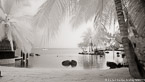 Tropical Beach, Tahiti  #YNL-591.  Infrared Photograph,  Stretched and Gallery Wrapped, Limited Edition Archival Print on Canvas:  72 x 40 inches, $1620.  Custom Proportions and Sizes are Available.  For more information or to order please visit our ABOUT page or call us at 561-691-1110.