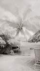 Tropical Beach, Tahiti  #YNL-592.  Infrared Photograph,  Stretched and Gallery Wrapped, Limited Edition Archival Print on Canvas:  40 x 72 inches, $1620.  Custom Proportions and Sizes are Available.  For more information or to order please visit our ABOUT page or call us at 561-691-1110.