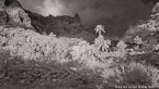 Tropical Landscape, Moorea  #YNL-611.  Infrared Photograph,  Stretched and Gallery Wrapped, Limited Edition Archival Print on Canvas:  72 x 40 inches, $1620.  Custom Proportions and Sizes are Available.  For more information or to order please visit our ABOUT page or call us at 561-691-1110.