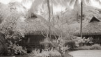 Tropical Huts, Moorea  #YNL-619.  Infrared Photograph,  Stretched and Gallery Wrapped, Limited Edition Archival Print on Canvas:  72 x 40 inches, $1620.  Custom Proportions and Sizes are Available.  For more information or to order please visit our ABOUT page or call us at 561-691-1110.
