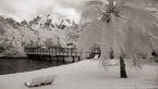 Tropical Beach, Moorea  #YNL-624.  Infrared Photograph,  Stretched and Gallery Wrapped, Limited Edition Archival Print on Canvas:  72 x 40 inches, $1620.  Custom Proportions and Sizes are Available.  For more information or to order please visit our ABOUT page or call us at 561-691-1110.