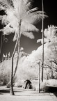 Tropical Field, Moorea  #YNL-627.  Infrared Photograph,  Stretched and Gallery Wrapped, Limited Edition Archival Print on Canvas:  40 x 72 inches, $1620.  Custom Proportions and Sizes are Available.  For more information or to order please visit our ABOUT page or call us at 561-691-1110.