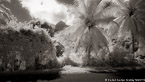 Tropical Landscape, Moorea  #YNL-632.  Infrared Photograph,  Stretched and Gallery Wrapped, Limited Edition Archival Print on Canvas:  72 x 40 inches, $1620.  Custom Proportions and Sizes are Available.  For more information or to order please visit our ABOUT page or call us at 561-691-1110.