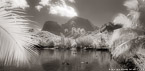 Tropical Bay, Moorea  #YNL-638.  Infrared Photograph,  Stretched and Gallery Wrapped, Limited Edition Archival Print on Canvas:  72 x 36 inches, $1620.  Custom Proportions and Sizes are Available.  For more information or to order please visit our ABOUT page or call us at 561-691-1110.