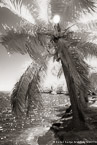 Tropical Bay, Moorea  #YNL-650.  Infrared Photograph,  Stretched and Gallery Wrapped, Limited Edition Archival Print on Canvas:  40 x 60 inches, $1590.  Custom Proportions and Sizes are Available.  For more information or to order please visit our ABOUT page or call us at 561-691-1110.
