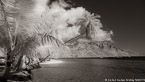 Tropical Bay, Moorea  #YNL-660.  Infrared Photograph,  Stretched and Gallery Wrapped, Limited Edition Archival Print on Canvas:  68 x 40 inches, $1620.  Custom Proportions and Sizes are Available.  For more information or to order please visit our ABOUT page or call us at 561-691-1110.