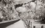 Tropical Road, Moorea  #YNL-662.  Infrared Photograph,  Stretched and Gallery Wrapped, Limited Edition Archival Print on Canvas:  68 x 40 inches, $1620.  Custom Proportions and Sizes are Available.  For more information or to order please visit our ABOUT page or call us at 561-691-1110.