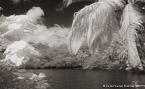 Tropical Bay, Moorea  #YNL-675.  Infrared Photograph,  Stretched and Gallery Wrapped, Limited Edition Archival Print on Canvas:  68 x 40 inches, $1620.  Custom Proportions and Sizes are Available.  For more information or to order please visit our ABOUT page or call us at 561-691-1110.