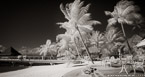 Tropical Beach, Bora Bora #YNL-683.  Infrared Photograph,  Stretched and Gallery Wrapped, Limited Edition Archival Print on Canvas:  68 x 36 inches, $1620.  Custom Proportions and Sizes are Available.  For more information or to order please visit our ABOUT page or call us at 561-691-1110.