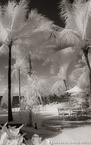 Tropical Beach, Bora Bora #YNL-685.  Infrared Photograph,  Stretched and Gallery Wrapped, Limited Edition Archival Print on Canvas:  40 x 68 inches, $1620.  Custom Proportions and Sizes are Available.  For more information or to order please visit our ABOUT page or call us at 561-691-1110.