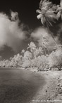 Tropical Beach, Bora Bora #YNL-686.  Infrared Photograph,  Stretched and Gallery Wrapped, Limited Edition Archival Print on Canvas:  40 x 68 inches, $1620.  Custom Proportions and Sizes are Available.  For more information or to order please visit our ABOUT page or call us at 561-691-1110.