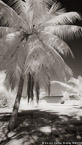 Tropical Beach, Bora Bora #YNL-691.  Infrared Photograph,  Stretched and Gallery Wrapped, Limited Edition Archival Print on Canvas:  40 x 72 inches, $1620.  Custom Proportions and Sizes are Available.  For more information or to order please visit our ABOUT page or call us at 561-691-1110.