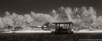 Tropical Beach, Bora Bora #YNL-696.  Infrared Photograph,  Stretched and Gallery Wrapped, Limited Edition Archival Print on Canvas:  60 x 24 inches, $1560.  Custom Proportions and Sizes are Available.  For more information or to order please visit our ABOUT page or call us at 561-691-1110.