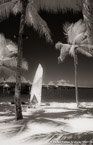 Tropical Beach, Bora Bora #YNL-701.  Infrared Photograph,  Stretched and Gallery Wrapped, Limited Edition Archival Print on Canvas:  40 x 60 inches, $1590.  Custom Proportions and Sizes are Available.  For more information or to order please visit our ABOUT page or call us at 561-691-1110.