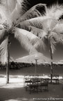Tropical Beach, Bora Bora #YNL-702.  Infrared Photograph,  Stretched and Gallery Wrapped, Limited Edition Archival Print on Canvas:  40 x 60 inches, $1590.  Custom Proportions and Sizes are Available.  For more information or to order please visit our ABOUT page or call us at 561-691-1110.