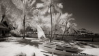 Tropical Beach, Bora Bora #YNL-704.  Infrared Photograph,  Stretched and Gallery Wrapped, Limited Edition Archival Print on Canvas:  72 x 40 inches, $1620.  Custom Proportions and Sizes are Available.  For more information or to order please visit our ABOUT page or call us at 561-691-1110.