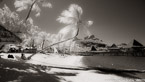 Tropical Beach, Bora Bora #YNL-706.  Infrared Photograph,  Stretched and Gallery Wrapped, Limited Edition Archival Print on Canvas:  72 x 40 inches, $1620.  Custom Proportions and Sizes are Available.  For more information or to order please visit our ABOUT page or call us at 561-691-1110.