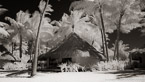 Tropical Beach, Bora Bora #YNL-708.  Infrared Photograph,  Stretched and Gallery Wrapped, Limited Edition Archival Print on Canvas:  72 x 40 inches, $1620.  Custom Proportions and Sizes are Available.  For more information or to order please visit our ABOUT page or call us at 561-691-1110.