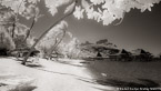 Tropical Beach, Bora Bora #YNL-710.  Infrared Photograph,  Stretched and Gallery Wrapped, Limited Edition Archival Print on Canvas:  72 x 40 inches, $1620.  Custom Proportions and Sizes are Available.  For more information or to order please visit our ABOUT page or call us at 561-691-1110.
