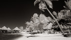 Tropical Beach, Bora Bora #YNL-711.  Infrared Photograph,  Stretched and Gallery Wrapped, Limited Edition Archival Print on Canvas:  72 x 40 inches, $1620.  Custom Proportions and Sizes are Available.  For more information or to order please visit our ABOUT page or call us at 561-691-1110.
