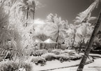 Tropical Cafe, Bora Bora #YNL-723.  Infrared Photograph,  Stretched and Gallery Wrapped, Limited Edition Archival Print on Canvas:  56 x 40 inches, $1590.  Custom Proportions and Sizes are Available.  For more information or to order please visit our ABOUT page or call us at 561-691-1110.
