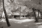 Tropical Beach, Bora Bora #YNL-725.  Infrared Photograph,  Stretched and Gallery Wrapped, Limited Edition Archival Print on Canvas:  60 x 40 inches, $1590.  Custom Proportions and Sizes are Available.  For more information or to order please visit our ABOUT page or call us at 561-691-1110.