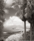 Tropical Vista, Saint Thomas #YNL-741.  Infrared Photograph,  Stretched and Gallery Wrapped, Limited Edition Archival Print on Canvas:  40 x 50 inches, $1560.  Custom Proportions and Sizes are Available.  For more information or to order please visit our ABOUT page or call us at 561-691-1110.