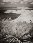 Tropical Vista, Saint Thomas #YNL-743.  Infrared Photograph,  Stretched and Gallery Wrapped, Limited Edition Archival Print on Canvas:  40 x 56 inches, $1590.  Custom Proportions and Sizes are Available.  For more information or to order please visit our ABOUT page or call us at 561-691-1110.