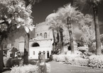 , Cairo Egypt #YNL-746.  Infrared Photograph,  Stretched and Gallery Wrapped, Limited Edition Archival Print on Canvas:  56 x 40 inches, $1590.  Custom Proportions and Sizes are Available.  For more information or to order please visit our ABOUT page or call us at 561-691-1110.