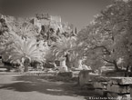 Garden , Athens Greece #YNL-427.  Infrared Photograph,  Stretched and Gallery Wrapped, Limited Edition Archival Print on Canvas:  56 x 40 inches, $1590.  Custom Proportions and Sizes are Available.  For more information or to order please visit our ABOUT page or call us at 561-691-1110.