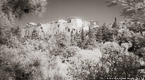 Park , Athens Greece #YNL-435.  Infrared Photograph,  Stretched and Gallery Wrapped, Limited Edition Archival Print on Canvas:  72 x 40 inches, $1620.  Custom Proportions and Sizes are Available.  For more information or to order please visit our ABOUT page or call us at 561-691-1110.