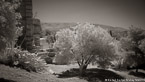 Cart , Athens Greece #YNL-449.  Infrared Photograph,  Stretched and Gallery Wrapped, Limited Edition Archival Print on Canvas:  72 x 40 inches, $1620.  Custom Proportions and Sizes are Available.  For more information or to order please visit our ABOUT page or call us at 561-691-1110.