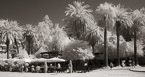 Cafe , Athens Greece #YNL-455.  Infrared Photograph,  Stretched and Gallery Wrapped, Limited Edition Archival Print on Canvas:  68 x 36 inches, $1620.  Custom Proportions and Sizes are Available.  For more information or to order please visit our ABOUT page or call us at 561-691-1110.