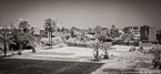 Fields , Egypt  #YNL-462.  Infrared Photograph,  Stretched and Gallery Wrapped, Limited Edition Archival Print on Canvas:  72 x 36 inches, $1620.  Custom Proportions and Sizes are Available.  For more information or to order please visit our ABOUT page or call us at 561-691-1110.