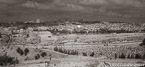 , Jerusalem Israel #YNL-465.  Infrared Photograph,  Stretched and Gallery Wrapped, Limited Edition Archival Print on Canvas:  72 x 36 inches, $1620.  Custom Proportions and Sizes are Available.  For more information or to order please visit our ABOUT page or call us at 561-691-1110.