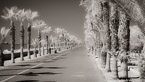 , Limassol Cyprus #YNL-471.  Black-White Photograph,  Stretched and Gallery Wrapped, Limited Edition Archival Print on Canvas:  72 x 40 inches, $1620.  Custom Proportions and Sizes are Available.  For more information or to order please visit our ABOUT page or call us at 561-691-1110.
