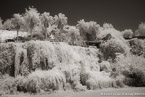 Garden , Antalya Turkey #YNL-505.  Infrared Photograph,  Stretched and Gallery Wrapped, Limited Edition Archival Print on Canvas:  60 x 40 inches, $1590.  Custom Proportions and Sizes are Available.  For more information or to order please visit our ABOUT page or call us at 561-691-1110.