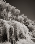 Garden , Antalya Turkey #YNL-506.  Infrared Photograph,  Stretched and Gallery Wrapped, Limited Edition Archival Print on Canvas:  40 x 50 inches, $1560.  Custom Proportions and Sizes are Available.  For more information or to order please visit our ABOUT page or call us at 561-691-1110.