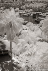 Marina , Antalya Turkey #YNL-510.  Infrared Photograph,  Stretched and Gallery Wrapped, Limited Edition Archival Print on Canvas:  40 x 60 inches, $1590.  Custom Proportions and Sizes are Available.  For more information or to order please visit our ABOUT page or call us at 561-691-1110.