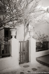 Gate , Mykonos Greece #YNL-558.  Black-White Photograph,  Stretched and Gallery Wrapped, Limited Edition Archival Print on Canvas:  40 x 60 inches, $1590.  Custom Proportions and Sizes are Available.  For more information or to order please visit our ABOUT page or call us at 561-691-1110.