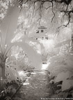Tropical Garden, Palm Beach #YNL-940.  Infrared Photograph,  Stretched and Gallery Wrapped, Limited Edition Archival Print on Canvas:  40 x 56 inches, $1590.  Custom Proportions and Sizes are Available.  For more information or to order please visit our ABOUT page or call us at 561-691-1110.
