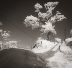 Country Road, Costa Rica #YNL-947.  Infrared Photograph,  Stretched and Gallery Wrapped, Limited Edition Archival Print on Canvas:  40 x 40 inches, $1500.  Custom Proportions and Sizes are Available.  For more information or to order please visit our ABOUT page or call us at 561-691-1110.