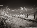 Country Road, Costa Rica #YNL-950.  Infrared Photograph,  Stretched and Gallery Wrapped, Limited Edition Archival Print on Canvas:  56 x 40 inches, $1590.  Custom Proportions and Sizes are Available.  For more information or to order please visit our ABOUT page or call us at 561-691-1110.