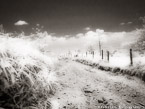 Country Road, Costa Rica #YNL-951.  Infrared Photograph,  Stretched and Gallery Wrapped, Limited Edition Archival Print on Canvas:  56 x 40 inches, $1590.  Custom Proportions and Sizes are Available.  For more information or to order please visit our ABOUT page or call us at 561-691-1110.